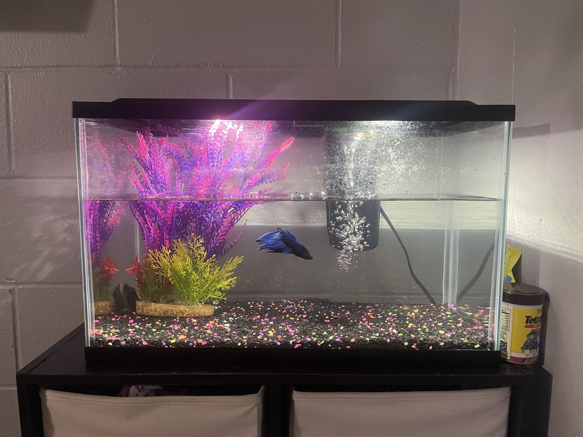 Fish Tank With Stand With Cubbies