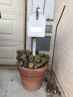 Mailbox In Cactus Pot