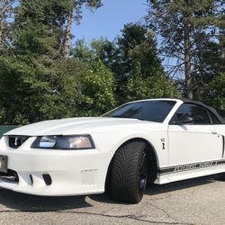 1999 Ford Mustang