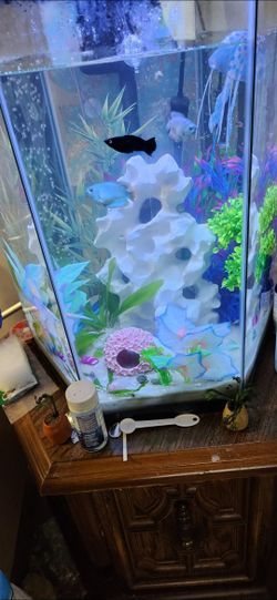 20 Gallon Hexagon Tank Kit
