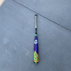 Demarini Voodoo Baseball Bat