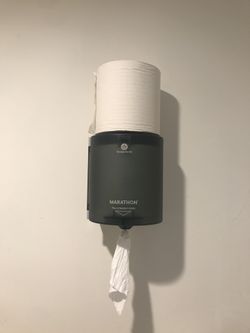 Center pull paper towls