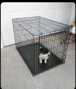 Dog Create Dog Cage Large Size  43" L X 27 1/2" W X 24" T