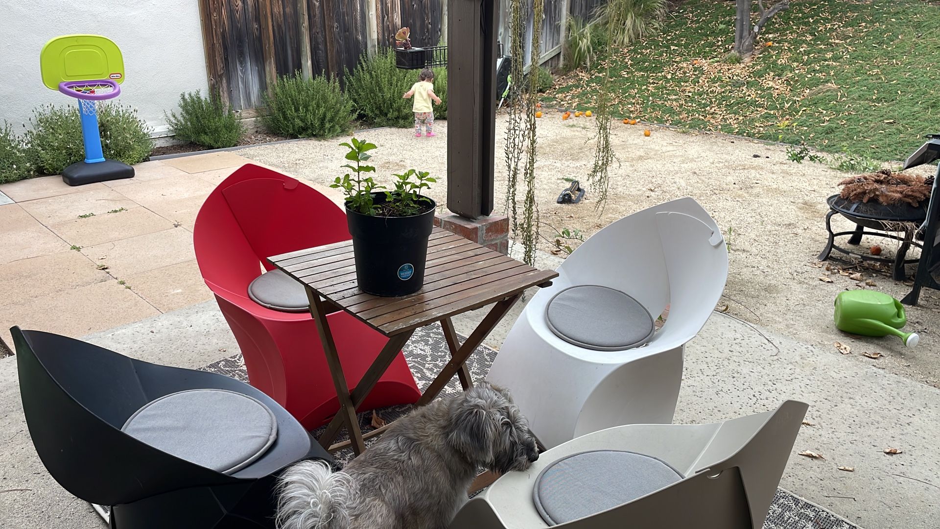 Modern FLUX chairs (outdoor or indoor)