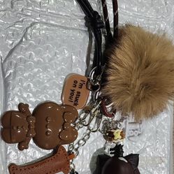 Assorted Beautiful Bag Charms 