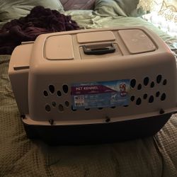 medium dog kennel