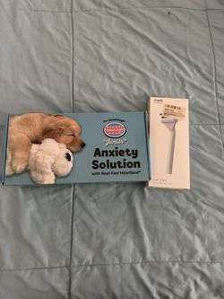 Anxiety Solution For Dogs And Cats 
