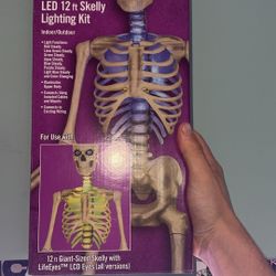 LED 12 ft Skelly Lighting  Kit