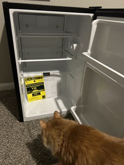 Insignia Black Mini Fridge