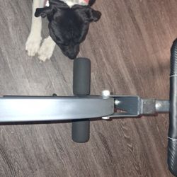 Weight Bench Comes With 95 Pounds Wieghts 175 