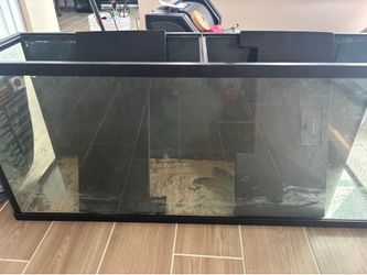 Fish tanks