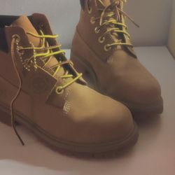 Size 2 Timberland 