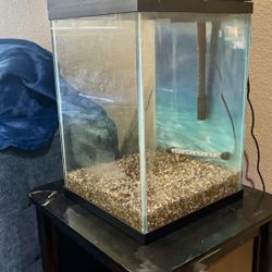 Aquarium 10 Gallons With All Accessories In The Picture 