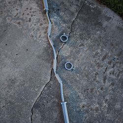 Weight Olympic Curl Bar