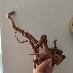 Spider wood // Driftwood 