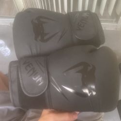 Venum Boxing Gloves 
