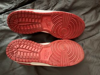 Nike dunks size 9