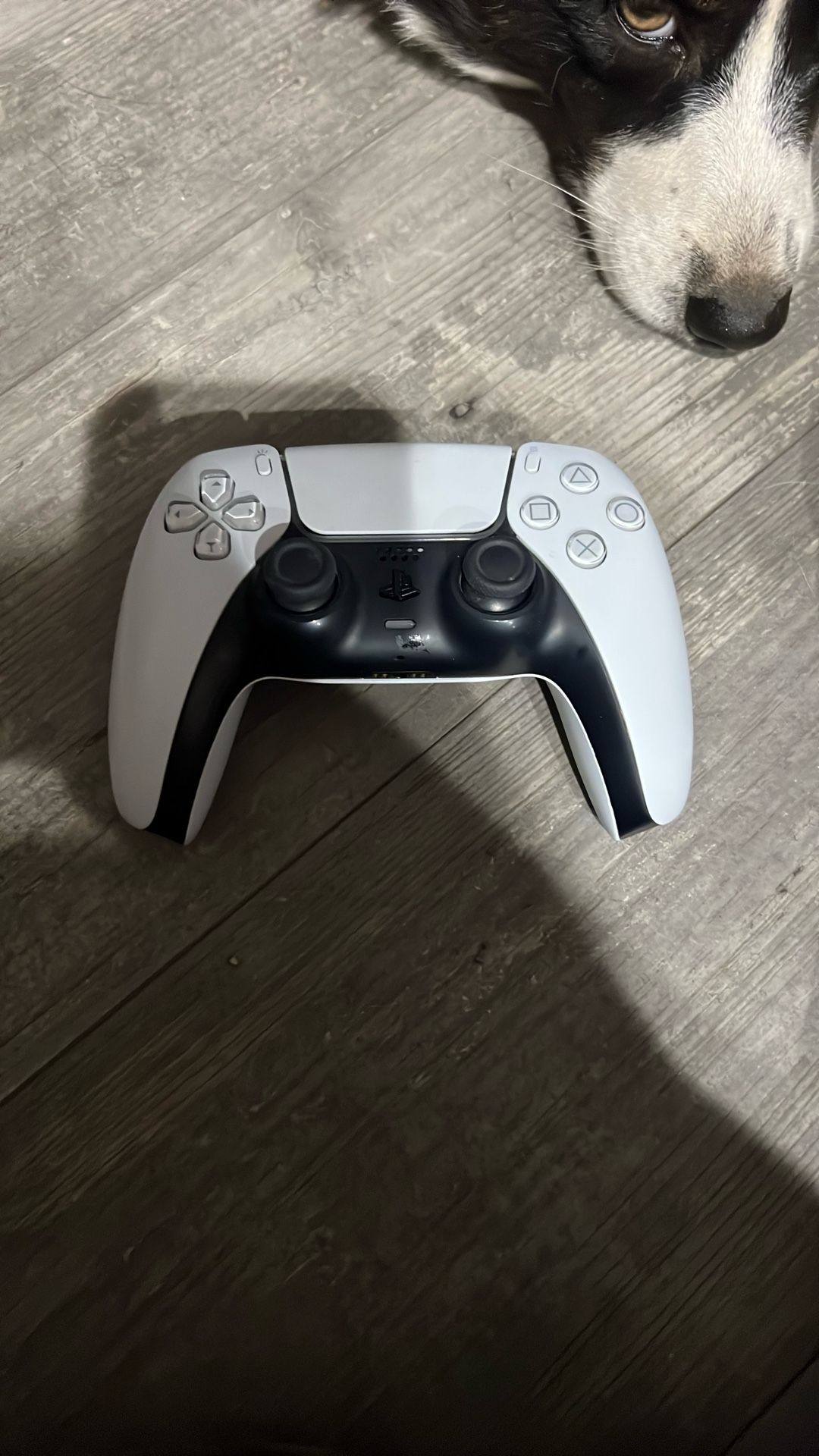 White Ps5 Controller