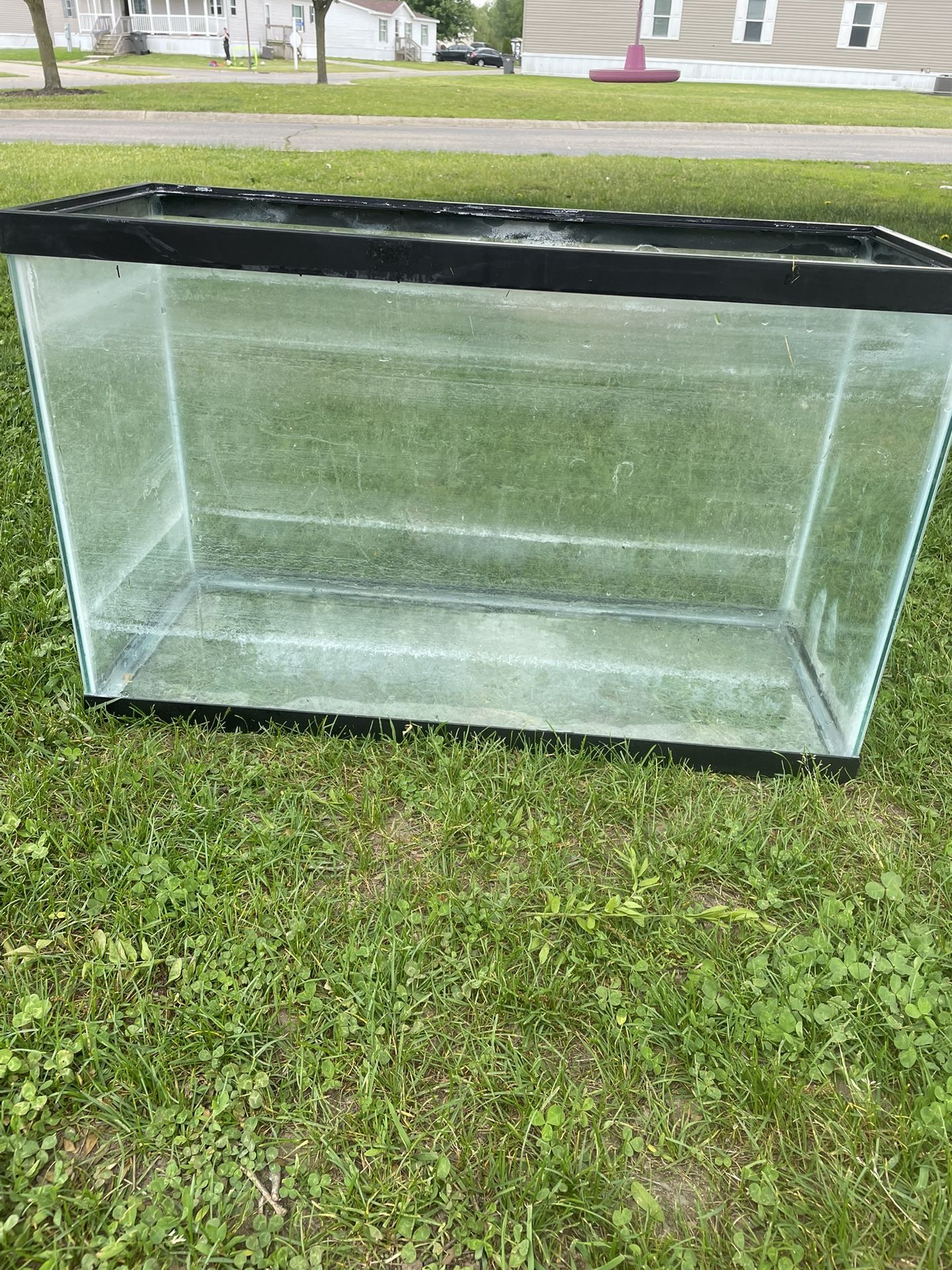 20 Gallon aquarium