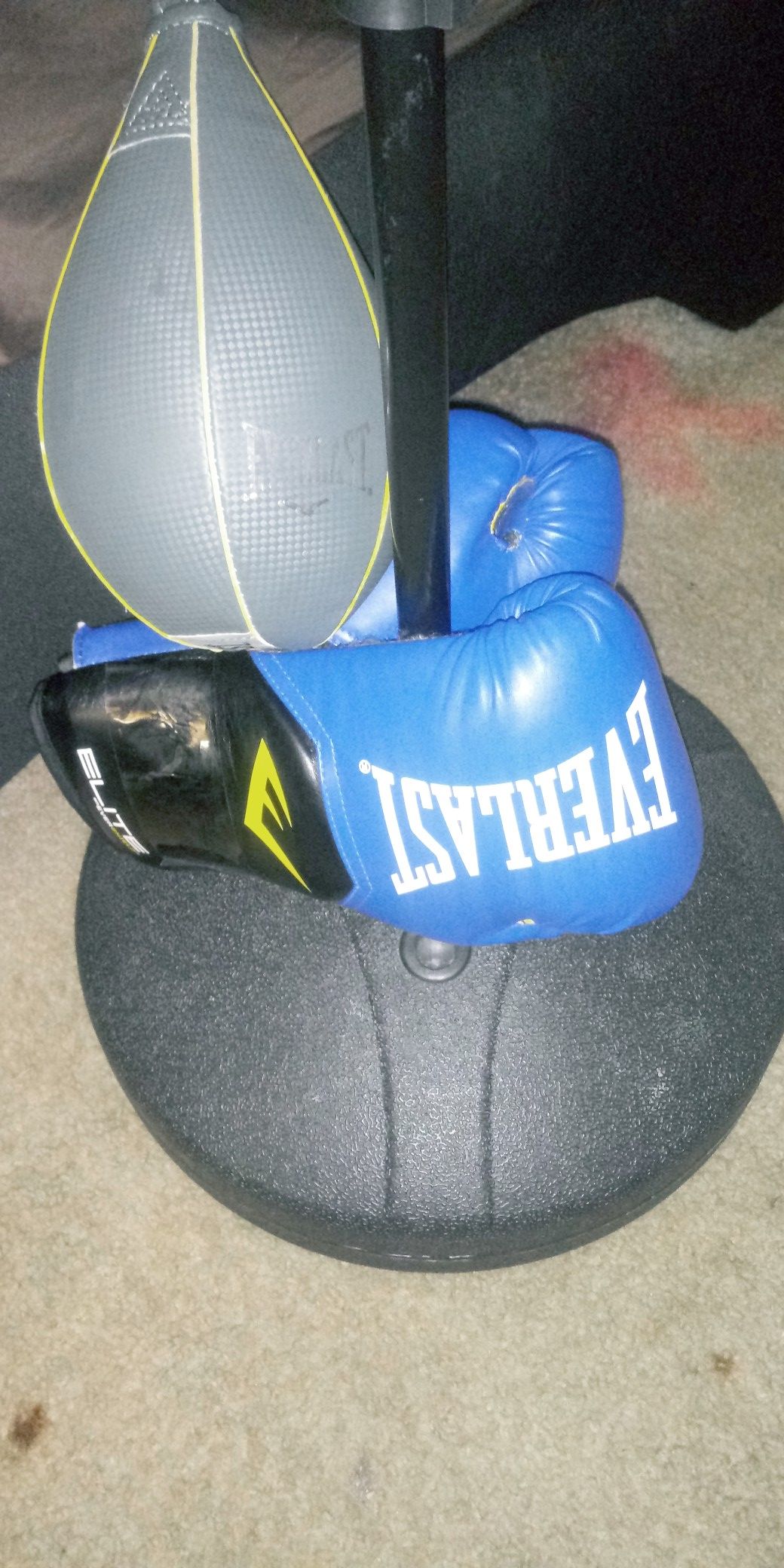 Everlast Boxing Training Gear