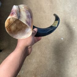 Authentic Shofar