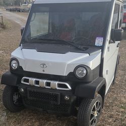 2022 Atomic electric golf cart