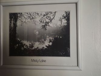 Set of 2 Wall Pictures in Frames $20 Total for Set
