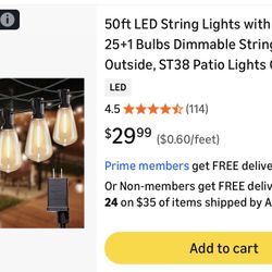 50ft LED String Lights with Remote, 25+1 Bulbs Dimmable String Lights for Outside, ST38 Patio Lights Outdoor