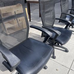 Office Chairs 