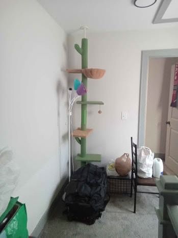 Floor-ceiling Cat Tower