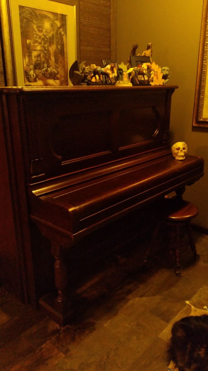 Steinway Piano 