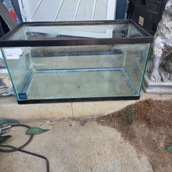 20 gallon long tank!