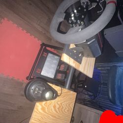 Custom Steering Wheel Racing Sim Setup 