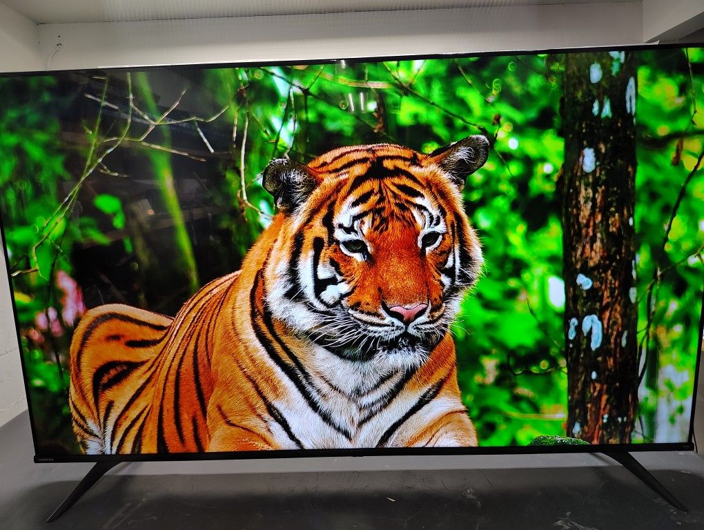 65 Inch Toshiba