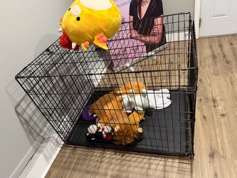 Large crate