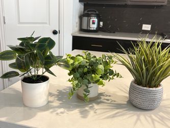 Set of 3 Faux Potted Plants