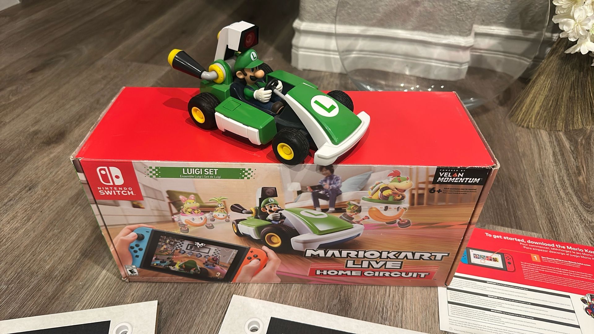 Mario Kart Live Luigi
