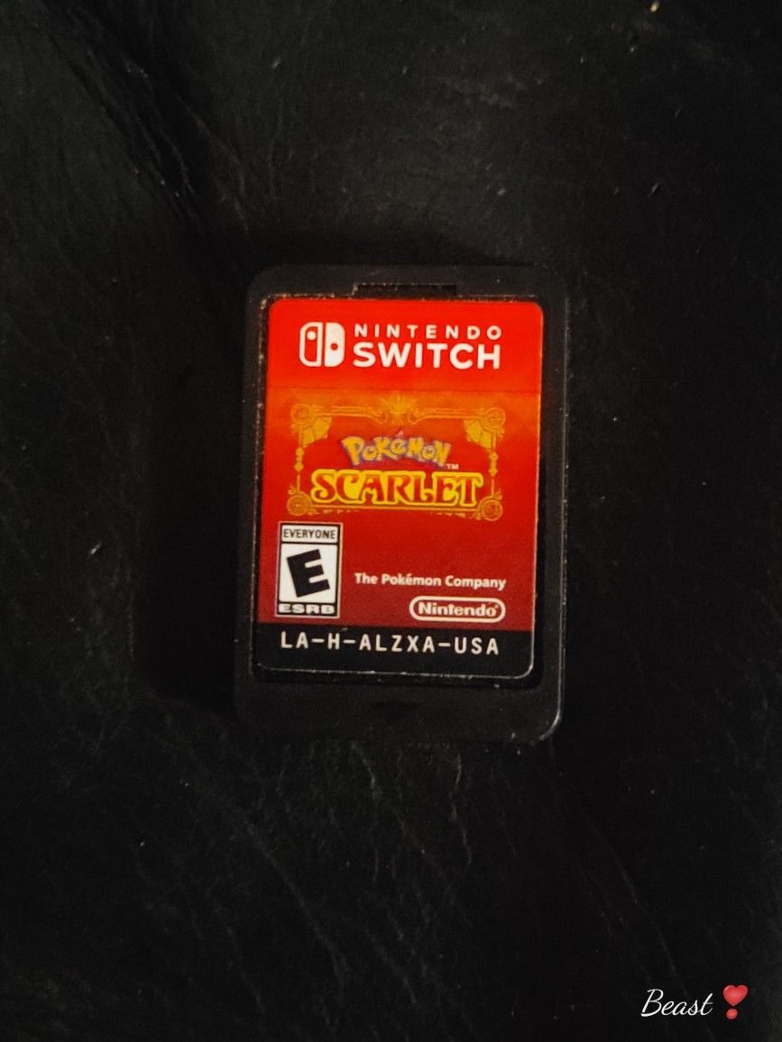 Nintendo Switch Game