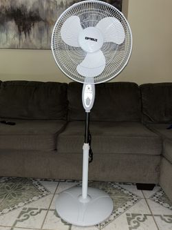 Fan