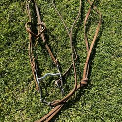 Western Bridle 