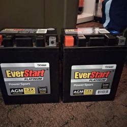 Ever Start TX14AH PLATINUM Batteries
