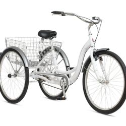 Adult Tricycle $250