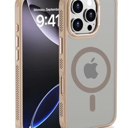 iPhone 16 Pro Case