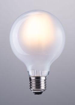 E26 Frosted White G80 6W 110x80mm LED Light Bulb