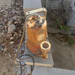 Liberty Septic System 2 Hp Omnivore Pump