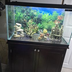 Fish Tank Aquarium 30 Gallon With Stand Decor