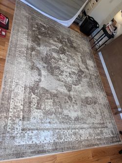 Sofia Collection  Distressed Medallion Area Rug