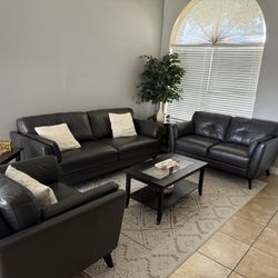 Couches With Side Tables And Coffee Table 