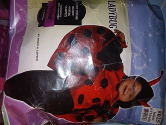 Ladybug Infant Outfit