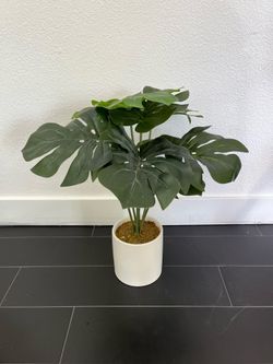 artificial plant